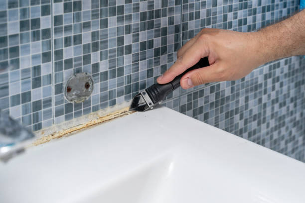 Best Commercial Mold Removal  in Eagleview, PA