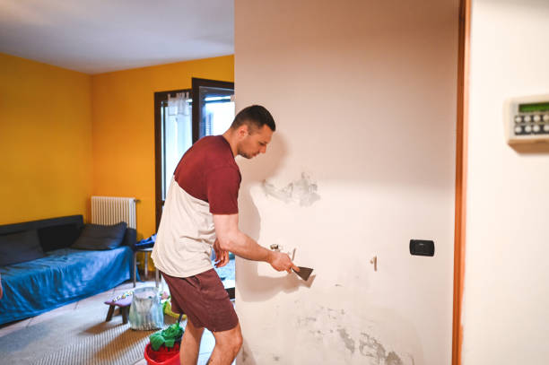 Best Mold Remediation  in Eagleview, PA