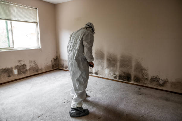 Best Crawl Space Mold Removal  in Eagleview, PA